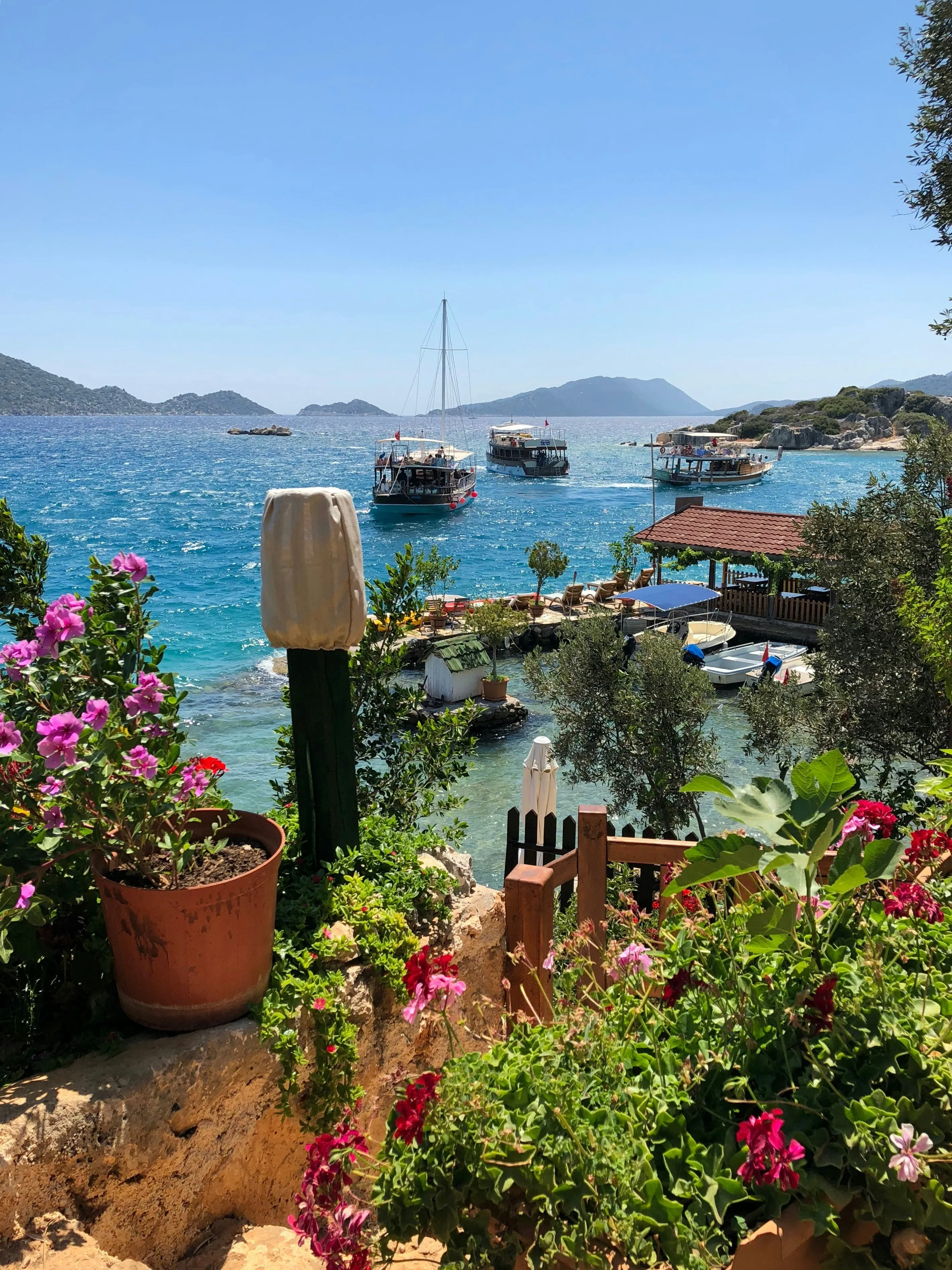 gulin-esen-5-PfAomESAg-unsplash.webp